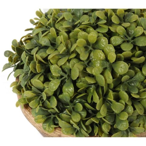 Bukszpanowa kula III w donicy 20 cm