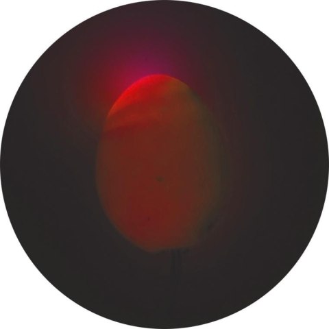 JAJKA GIRLANDA ŚWIETLNA LAMPKI LED WIELKANOC FIOLETOWE