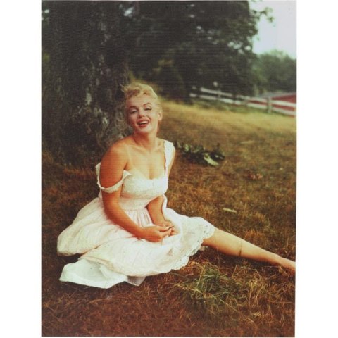 Obraz Merlin Monroe na trawie płótno 26cm x 20cm