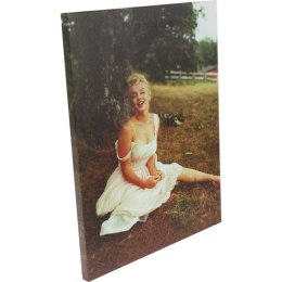 Obraz Merlin Monroe na trawie płótno 26cm x 20cm