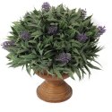 Sztuczna Lawenda w Ceramicznym Doniczce - Dekoracja w Stylu Prowansalskim