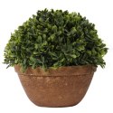 Sztuczna Roślina Bukszpan w Ceramicznej Doniczce 20 cm