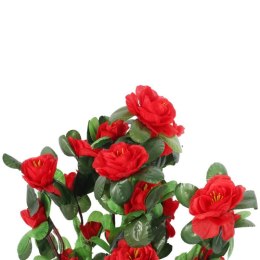 Bukiet 5 gałązek z drobnymi kwiatami róży kolor czerwony