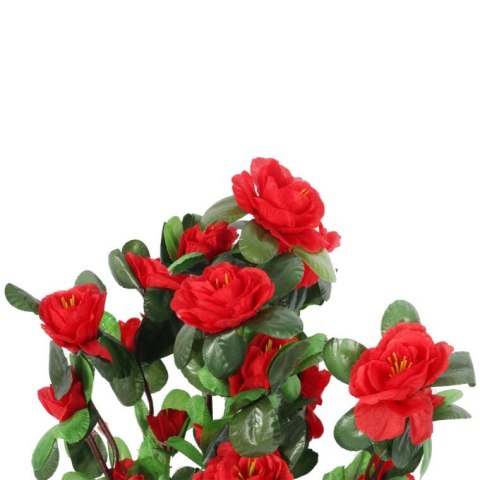 Bukiet 5 gałązek z drobnymi kwiatami róży kolor czerwony