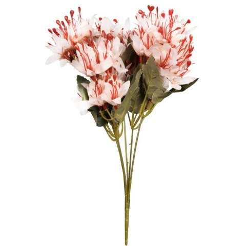 Bukiet 5 gałązek z kwiatami azalii kolor biały