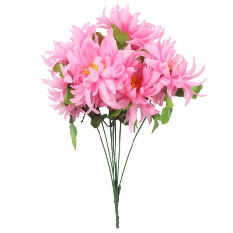 Bukiet 7 chryzantem strzępiastych 50 cm kolor różowy