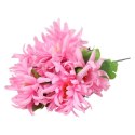 Bukiet 7 chryzantem strzępiastych 50 cm kolor różowy