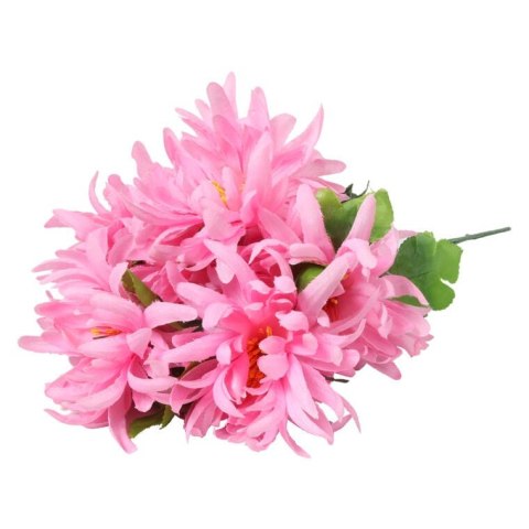 Bukiet 7 chryzantem strzępiastych 50 cm kolor różowy