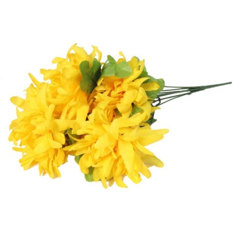 Bukiet 7 chryzantem strzępiastych 50 cm kolor żółty