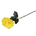 CHRYZANTEMA POJEDYNCZY KWIAT 50 CM ŻÓŁTY