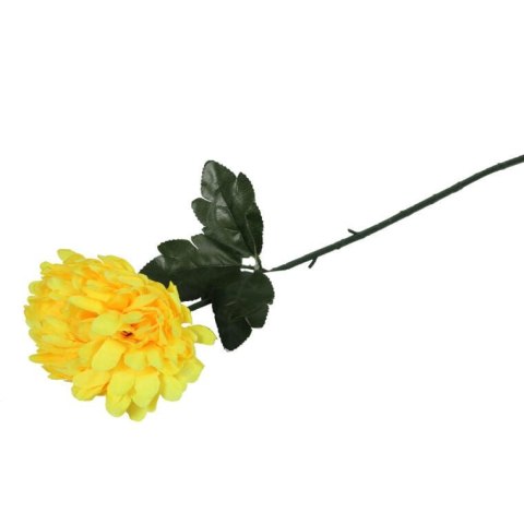 CHRYZANTEMA POJEDYNCZY KWIAT 50 CM ŻÓŁTY