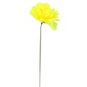 Chryzantema pojedynka bez listka jasno żółta 35 cm