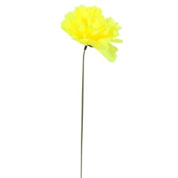Chryzantema pojedynka bez listka jasno żółta 35 cm