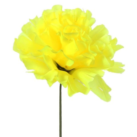 Chryzantema pojedynka bez listka jasno żółta 35 cm