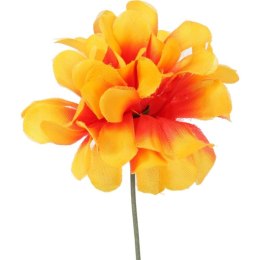 Chryzantema pojedynka bez listka pomarańczowa 35 cm