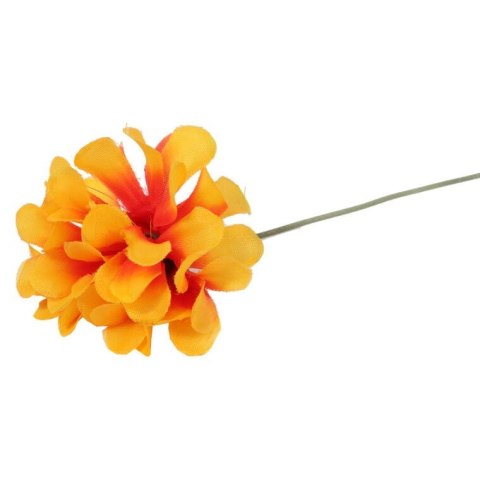 Chryzantema pojedynka bez listka pomarańczowa 35 cm