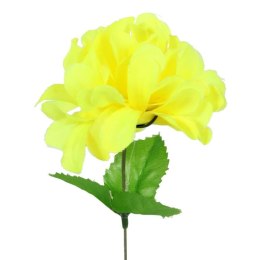 Chryzantema pojedynka z listkiem cytrynowa 35 cm