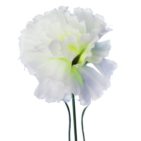 Goździk pojedynka w kolorze białym 46 cm