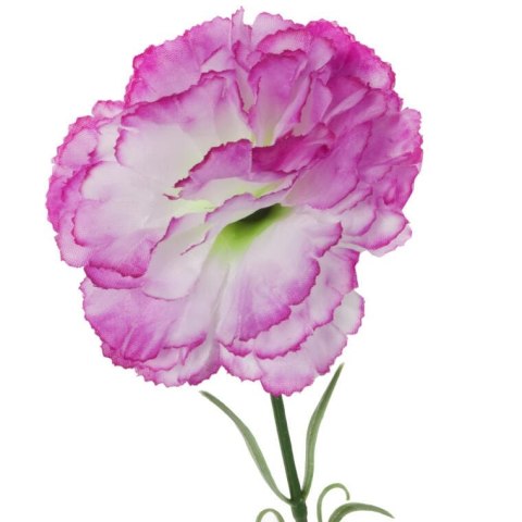 Goździk pojedynka w kolorze fioletowym 46 cm