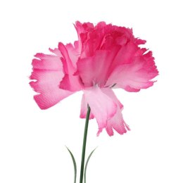 Goździk pojedynka w kolorze jasno różowym 46 cm