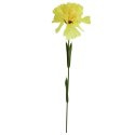 Goździk pojedynka w kolorze żółtym 46 cm