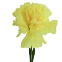 Goździk pojedynka w kolorze żółtym 46 cm