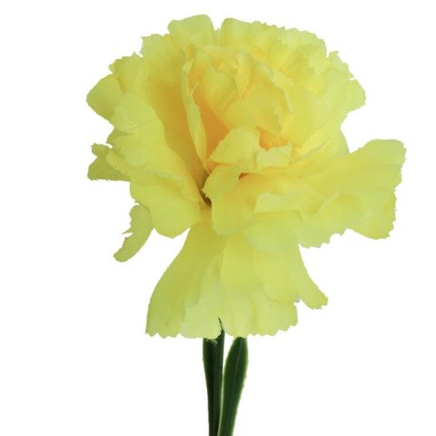 Goździk pojedynka w kolorze żółtym 46 cm