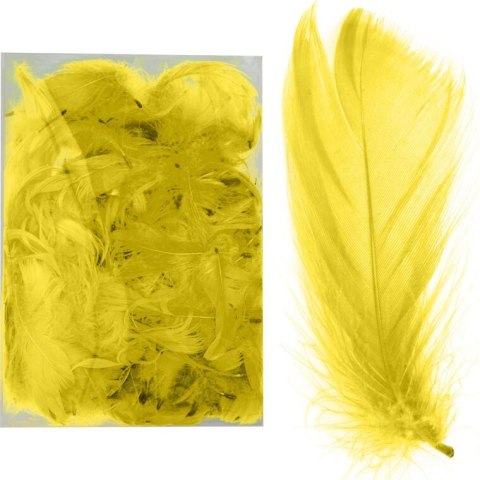 Piórka Dekoracyjne Żółte - Wysokiej Jakości, do Prac Kreatywnych, w Boksie PVC, 200 szt.