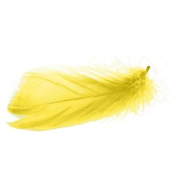 Piórka Dekoracyjne Żółte - Wysokiej Jakości, do Prac Kreatywnych, w Boksie PVC, 200 szt.