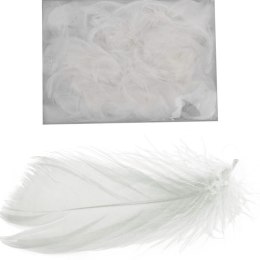 Piórka białe w boksie PVC