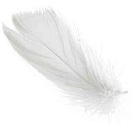 Piórka białe w boksie PVC
