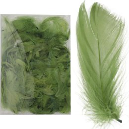 Piórka zielone w boksie PVC