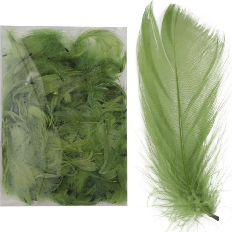 Piórka zielone w boksie PVC