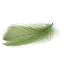 Piórka zielone w boksie PVC