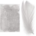 Wyselekcjonowane białe piórka do dekoracji w boksie PVC