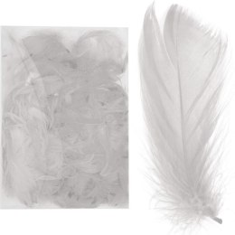 Wyselekcjonowane białe piórka do dekoracji w boksie PVC