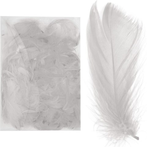 Wyselekcjonowane białe piórka do dekoracji w boksie PVC