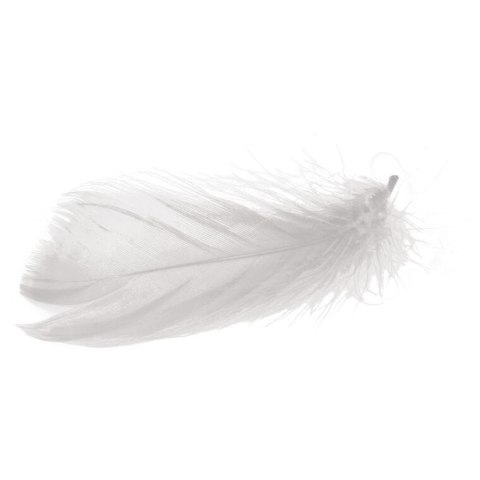 Wyselekcjonowane białe piórka do dekoracji w boksie PVC