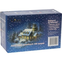 Zewnętrzna Dekoracja Świetlna 100 LED Biała - Łączalna, Wodoodporna, Energooszczędna