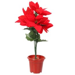 Czerwone Poinsecje w Doniczce - Bukiet 5 sztuk, Wysokość 35 cm