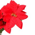 Czerwone Poinsecje w Doniczce - Bukiet 5 sztuk, Wysokość 35 cm