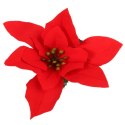 Kwiat pojedynczy Gwiazda Betlejemska Poinsencja 30 cm