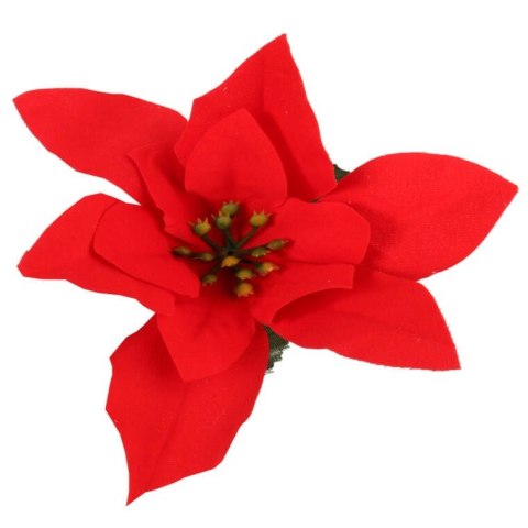 Kwiat pojedynczy Gwiazda Betlejemska Poinsencja 30 cm
