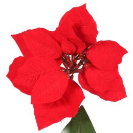 Kwiat pojedynczy Gwiazda Betlejemska Poinsencja 64 cm