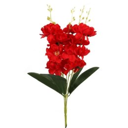 Bukiet 5 storczyków 58cm kolor czerwony
