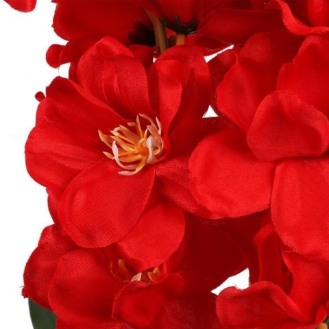 Bukiet 5 storczyków 58cm kolor czerwony