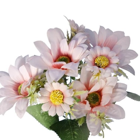 Bukiet 7 margaretek 36cm kolor jasno różowy