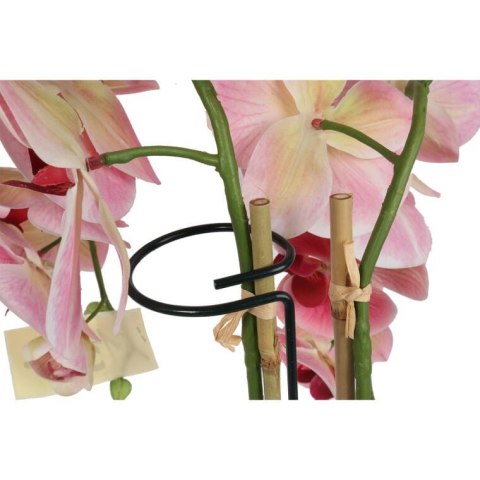 STABILIZATOR DO ROŚLIN 30CM - WSPARCIE DLA KWIATÓW WEWNĄTRZ I NA ZEWNĄTRZ