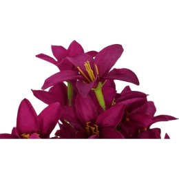 BUKIET 13 GAŁĄZEK Z CLEMATISAMI KOLOR FIOLETOWY