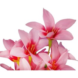 BUKIET 13 GAŁĄZEK Z CLEMATISAMI KOLOR RÓŻOWY